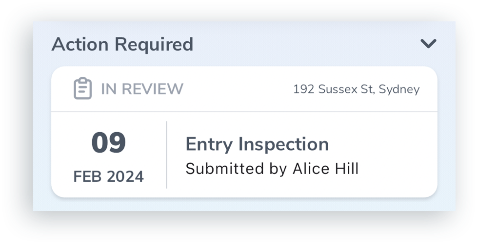 In Review Inspection.png